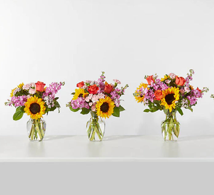 Three floral bouquets with sunflowers and pink flowers in clear vases on a white background