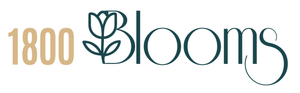 florería especializada en arreglos florales elegantes y modernos