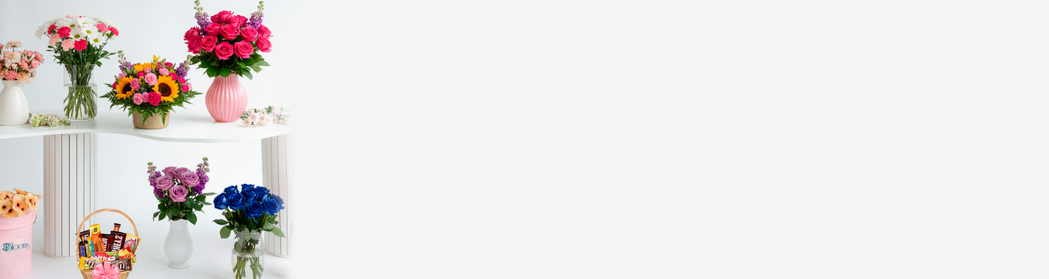 Various flowers in vases on a white surface with a white background